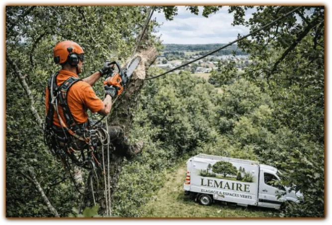 Élagage Milly-la-Forêt Essonne (91)
