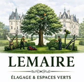 Lemaire Élagage Abattage - Milly-la-Forêt Essonne (91)