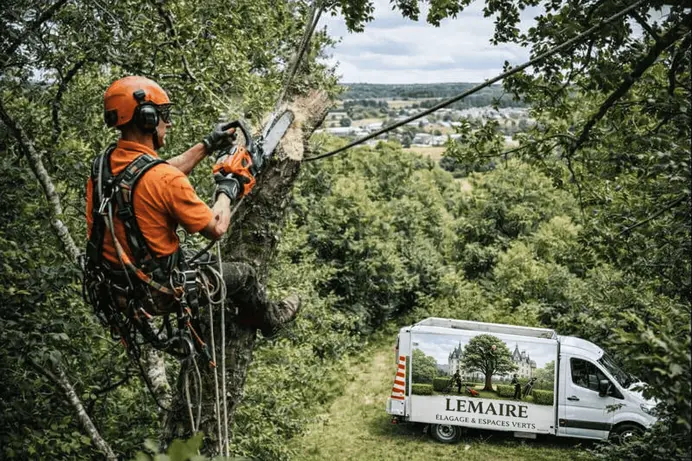 Lemaire Elagage Abattage - Milly-la-Forêt Essonne 91