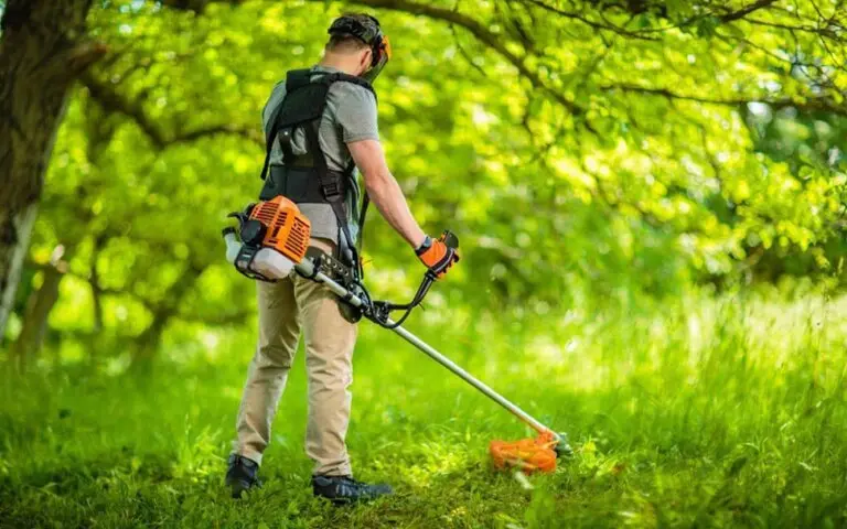 Lemaire Élagage Abattage à Milly-la-Forêt 91 Essonne Lemaire Élagage Abattage à Milly-la-Forêt 91 Essonne